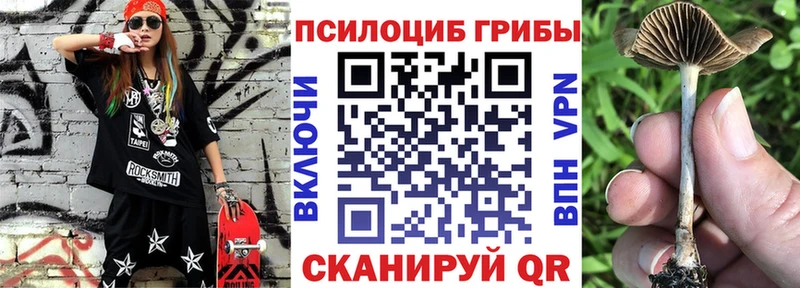 Галлюциногенные грибы Magic Shrooms хочу наркоту Верхняя Салда